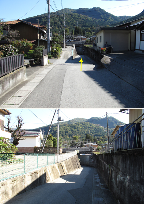 20161104hike (3)